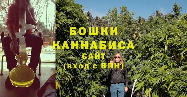 дмт Ростов