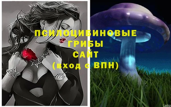 хмурый Богданович