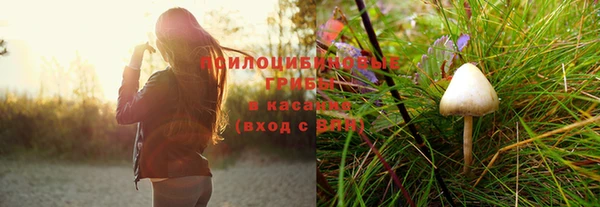 наркотики Богородск