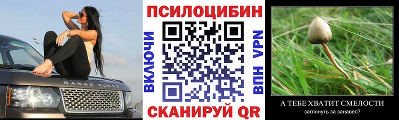 ссылка на мегу ТОР  Краснозаводск  Галлюциногенные грибы MAGIC MUSHROOMS 